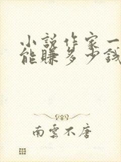 小说作家一个月能赚多少钱