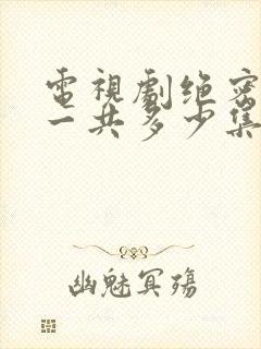 电视剧绝密较量一共多少集啊