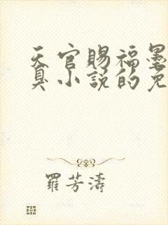 天官赐福墨香铜臭小说的免费阅读