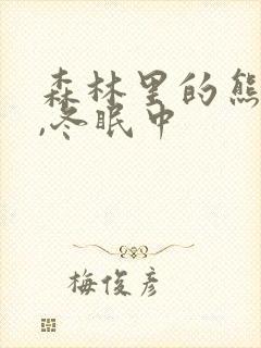 森林里的熊先生,冬眠中封面