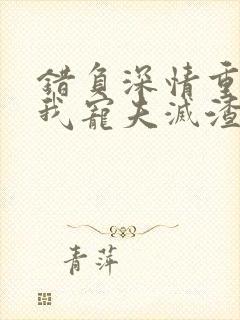 错负深情重生后我宠夫灭渣免费阅读