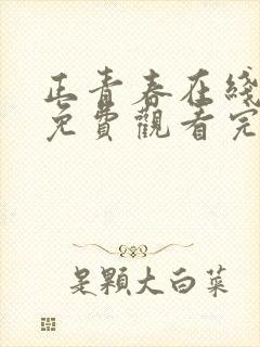 正青春在线全集免费观看完整版高清