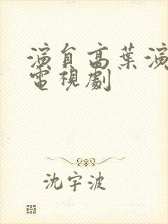 演员高叶演过的电视剧封面