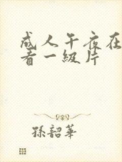 成人午夜在线观看一级片