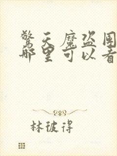 惊天魔盗团3在哪里可以看封面