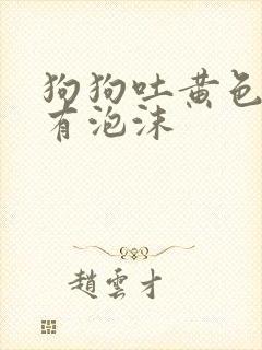 狗狗吐黄色黄水有泡沫