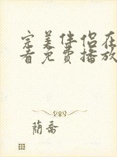 完美伴侣在线观看免费播放