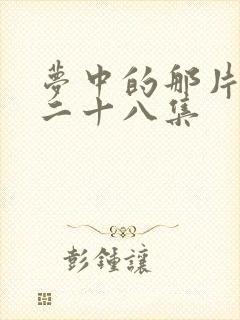 梦中的那片海第二十八集