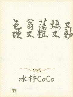 色翁荡熄又大又硬又粗又动态图