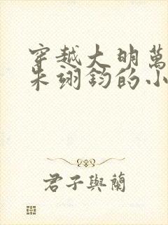 穿越大明万历帝朱翊钧的小说