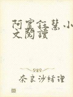 阿宾钰慧小说全文阅读封面