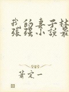 我的妻子林慧茹张强小说最新章节阅读