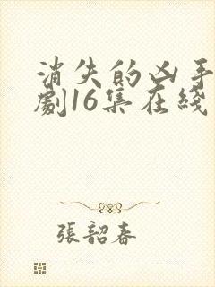 消失的凶手电视剧16集在线观看