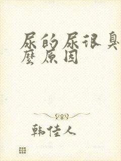 尿的尿很臭是什么原因