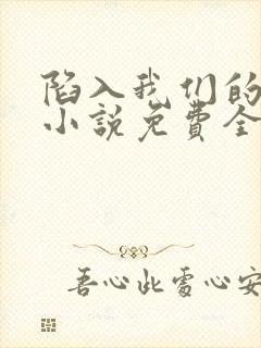 陷入我们的热恋小说免费全文阅读