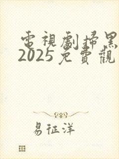电视剧扫黑风暴2025免费观看完整版
