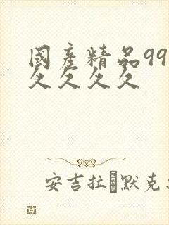 国产精品99久久久久久