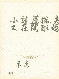 小说厉总,夫人又在闹离婚免费阅读全文