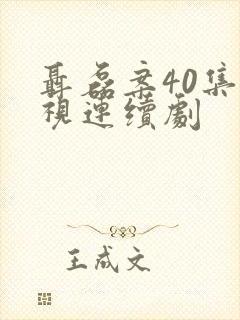 聂磊案40集电视连续剧