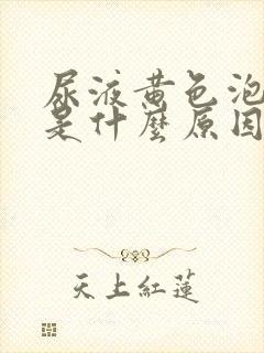 尿液黄色泡沫多是什么原因啊封面