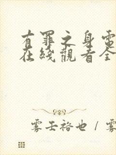 有罪之身电视剧在线观看全集免费封面