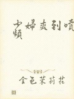 少妇爽到喷水视频