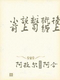 小说离职后我被前上司缠上免费阅读全文