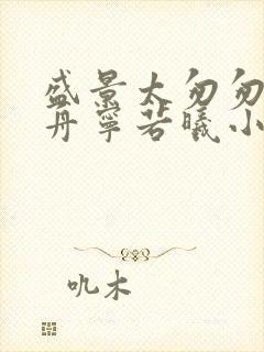 盛景太匆匆沈砚舟宁若曦小说