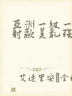 亚洲一级一片内射欧美乱强封面