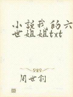 小说我的六个绝世姐姐txt