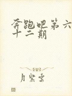 奔跑吧第六季第十二期封面