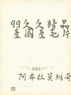 99久久精品国产国产毛片