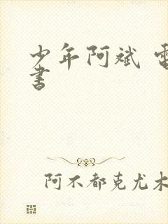 少年阿斌 电子书