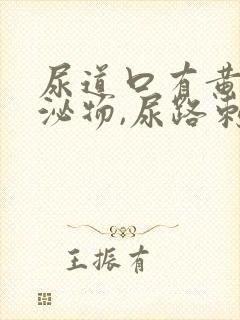 尿道口有黄色分泌物,尿路刺痛