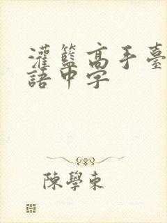 灌篮高手台配国语中字