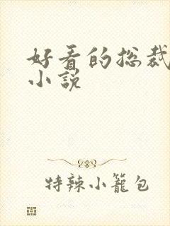 好看的总裁完结小说封面