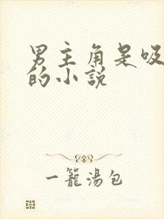 男主角是吸血鬼的小说封面