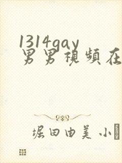 1314gay男男视频在线观看封面