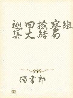 巡回检察组43集大结局