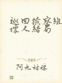 巡回检察组5个坏人结局封面