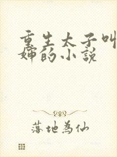 重生太子叫我皇婶的小说封面