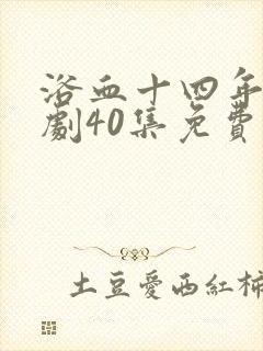 浴血十四年电视剧40集免费