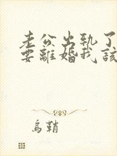 老公出轨了坚持要离婚我该怎么挽回