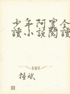 少年阿宾全文阅读小说阅读目录