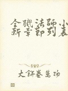 全职法师小说最新章节列表封面