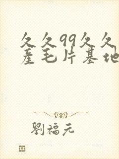 久久99久久国产毛片基地