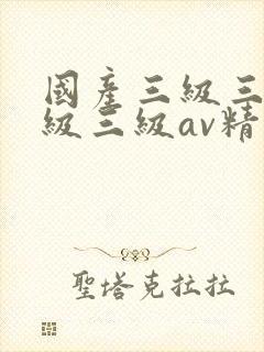 国产三级三级三级三级av精品