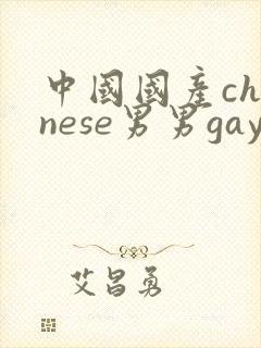 中国国产chinese男男gay gay网站