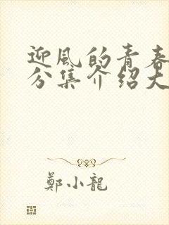 迎风的青春剧情分集介绍大结局