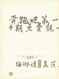 奔跑吧第一季第4期免费观看